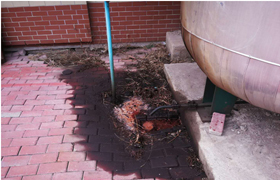 客戶安裝油氣分離器后反映油分跑油，應該怎么辦